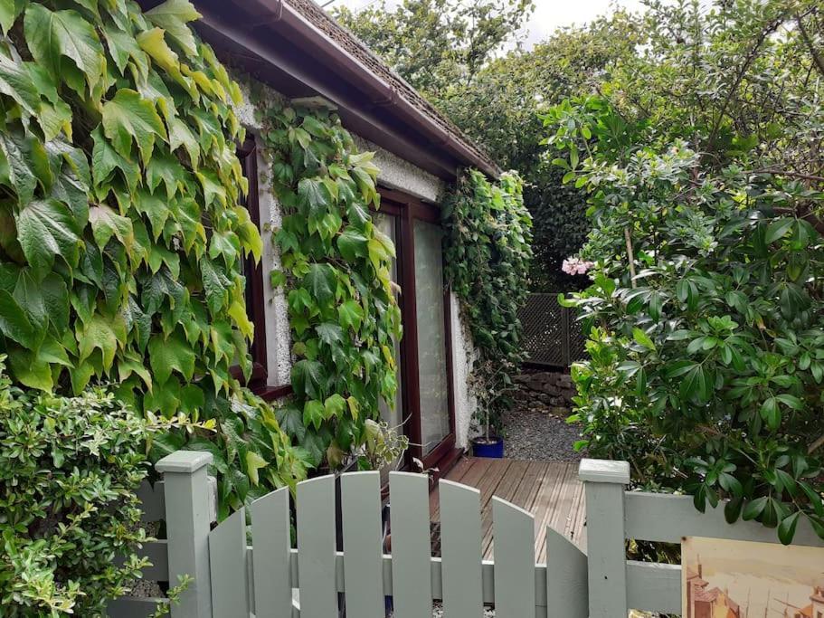 Oakey Orchard - Cosy Apartment In Tamar Valley, Cornwall Saint Dominick Luaran gambar